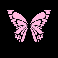 LARIES COSMETICS